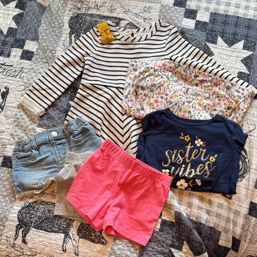 Carters/oshkosh 2T Girls Bundle